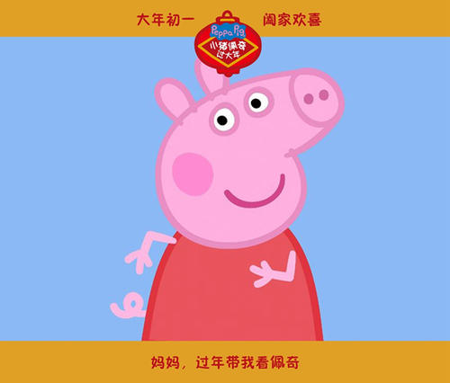 梅嫩德斯·佩拉约国际大学公共管理文凭证书